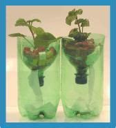experiments with hydroponics|Introducing Hydroponics for Kids: Science Made Fun .